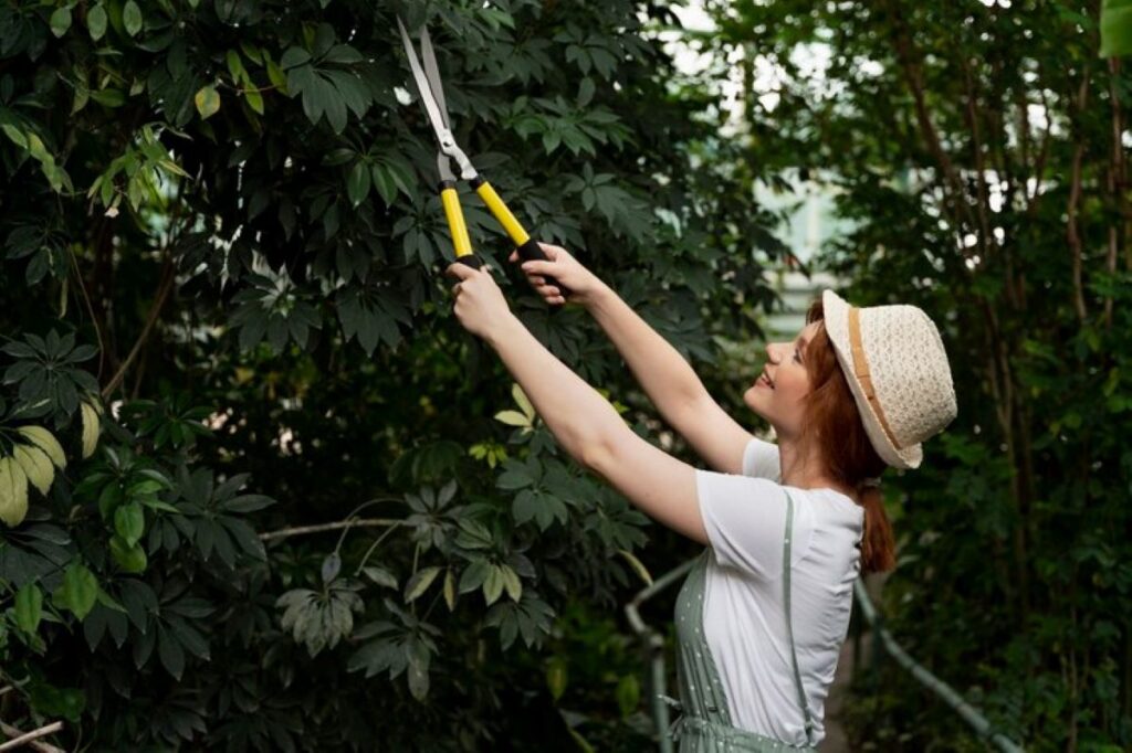 Tree Pruning Cost